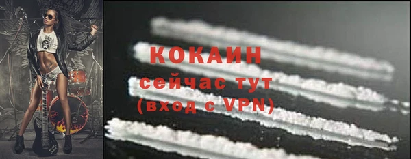 шишки Балабаново