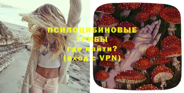 круглые Аркадак