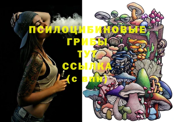круглые Аркадак
