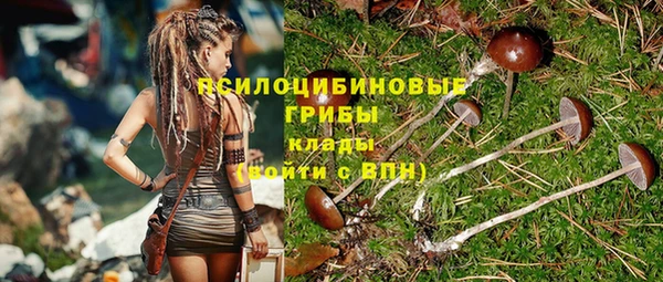 круглые Аркадак