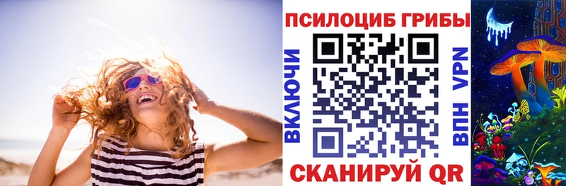Купить  Тогучин  Псилоцибиновые грибы ЛСД 