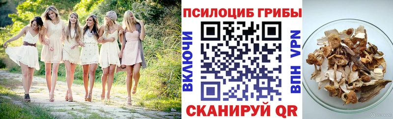 Псилоцибиновые грибы Magic Shrooms Тогучин